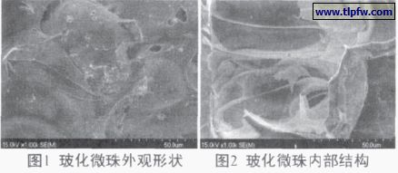 ?；⒅橥庥^形狀及內部結構